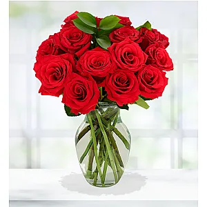 Dozen Red Roses
